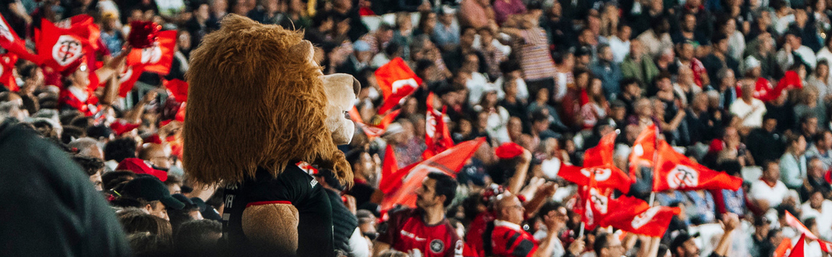supporters_stade toulousain_0